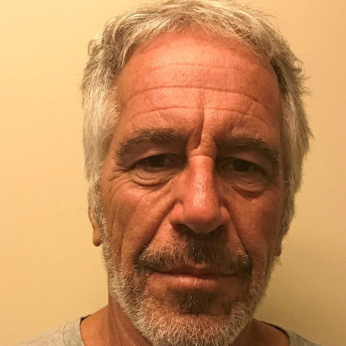 Jeffrey Epstein foul play confirmed by...?